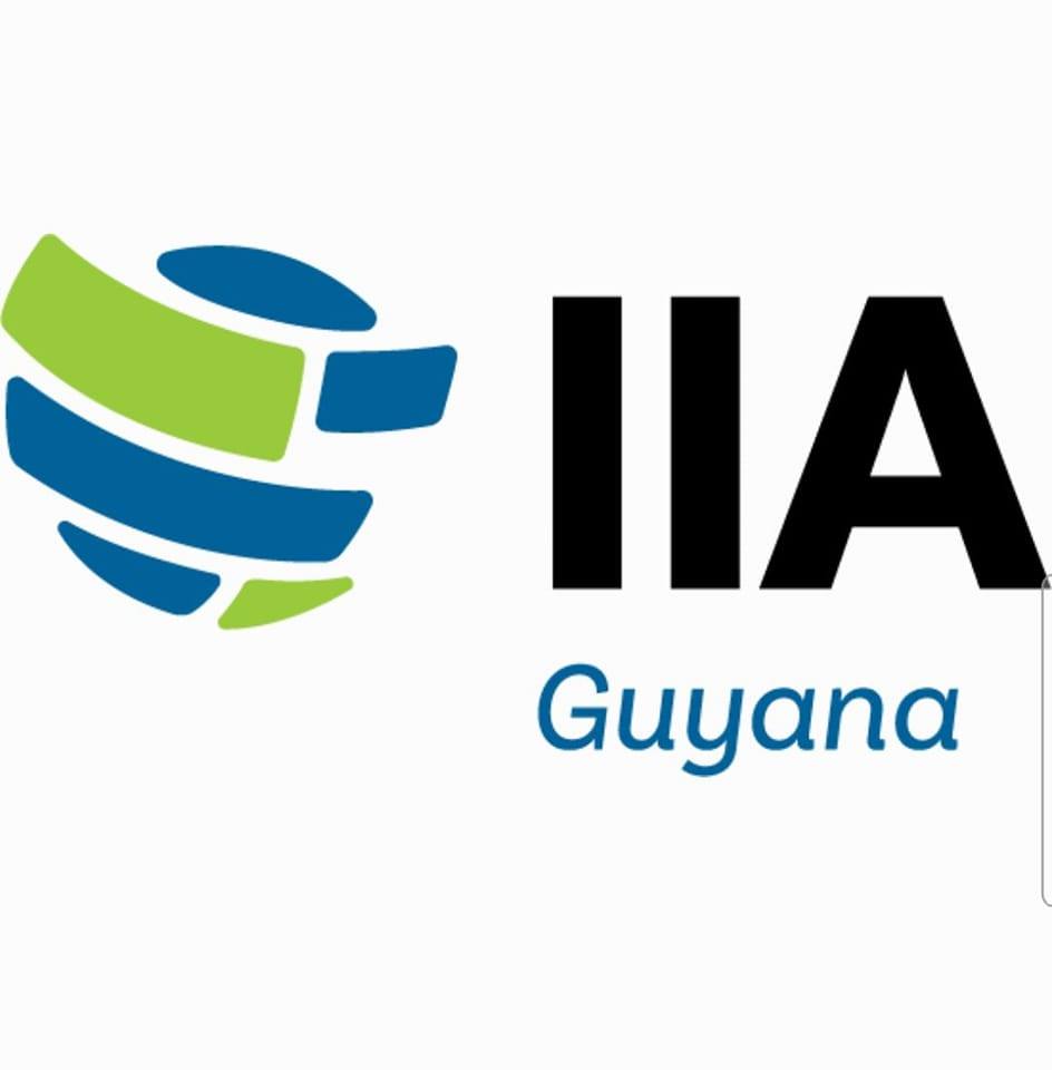 Institute of Internal Auditors elects new executives, board