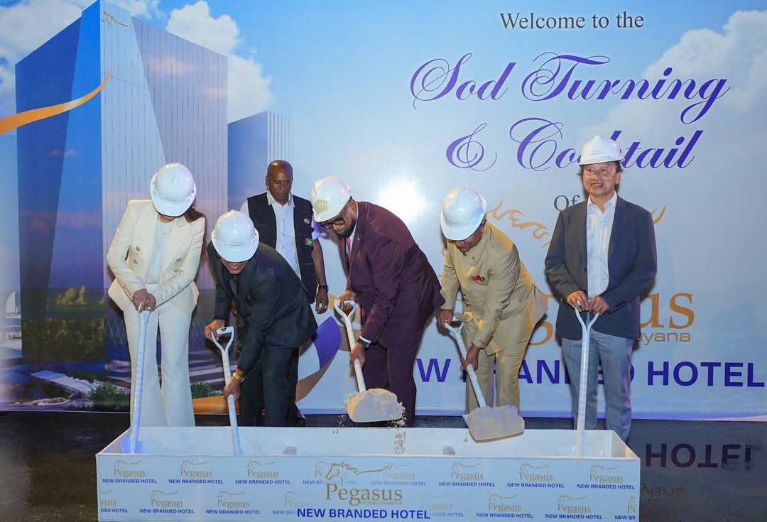 Pegasus adding upscale hotel to tourism, hospitality sector
