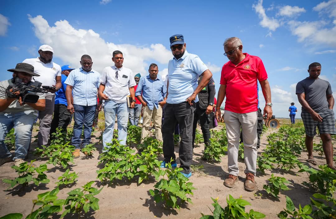 $1.2B silo project to transform legume farming in Berbice River