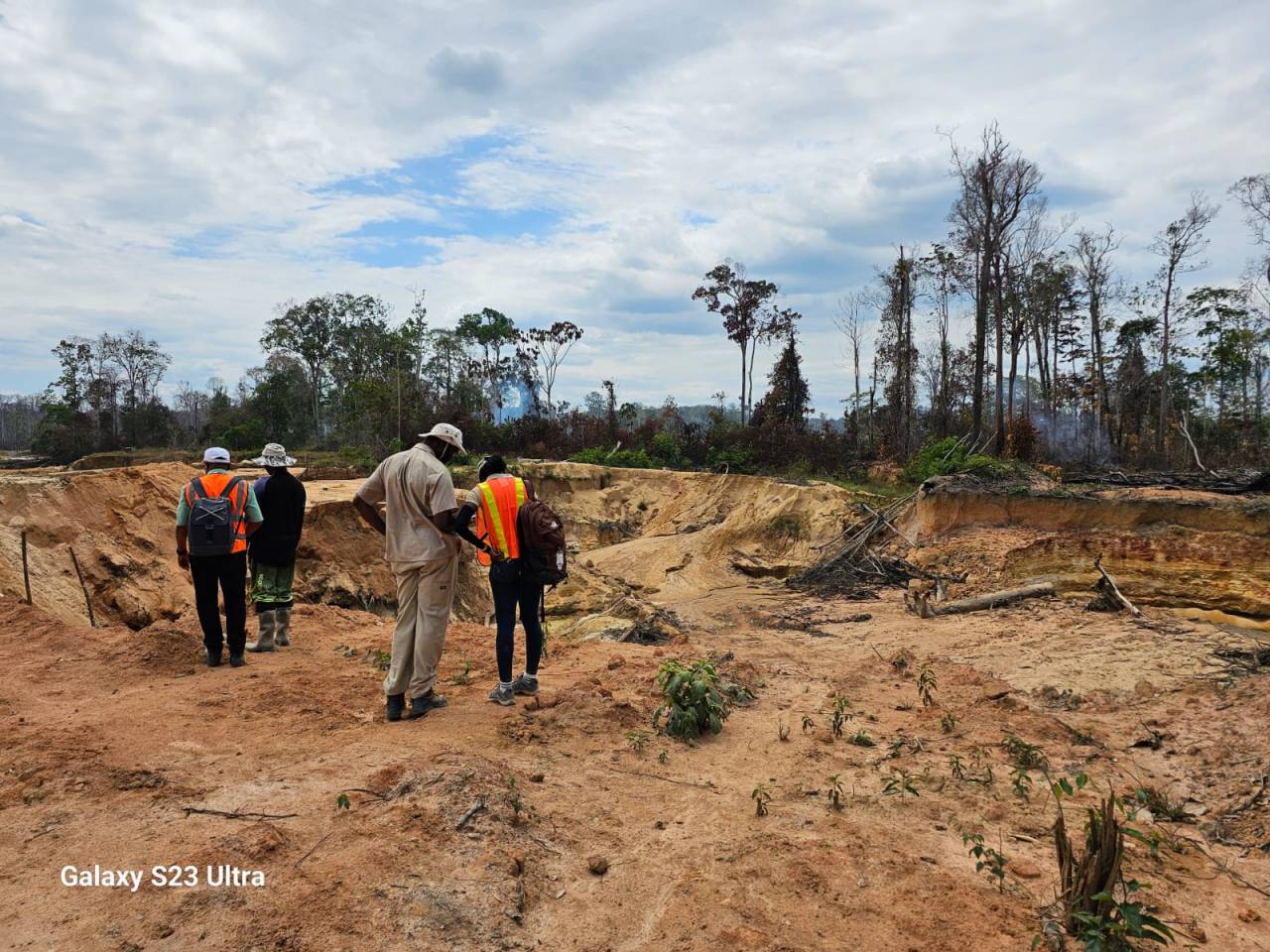 Miner killed by falling tree stump