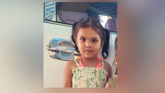 Toddler dies in gate accident