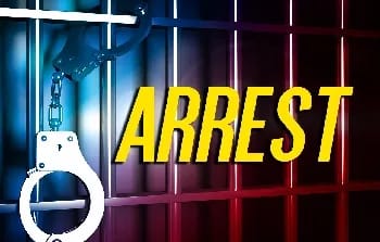 Brothers charged with assaulting cops, property damage 