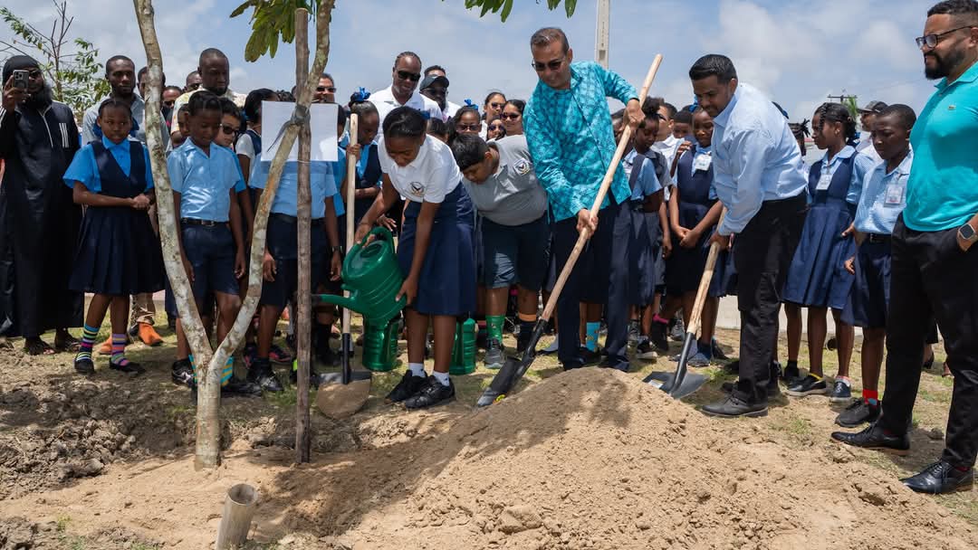 Enhancing green spaces: $600M national tree-planting project launched
