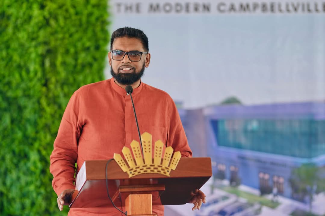 President Ali to lead PPP into upcoming elections