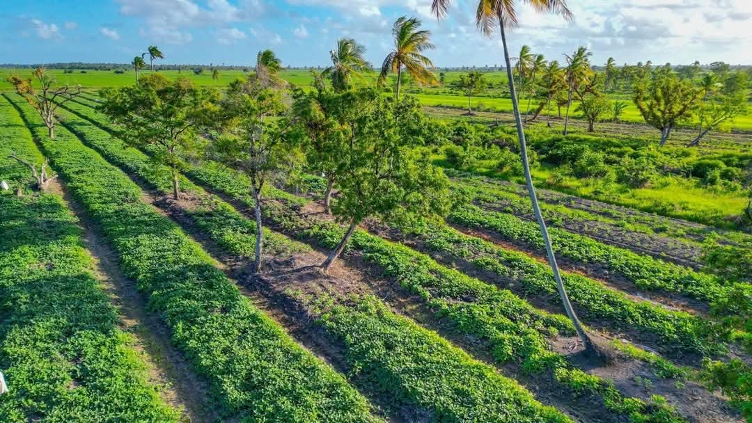 Flood relief projects to open up 85,000 acres of land for small farmers