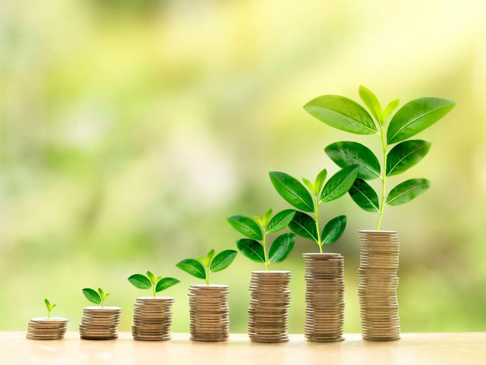 Co-investment opportunities to grow growth wealth of Guyanese