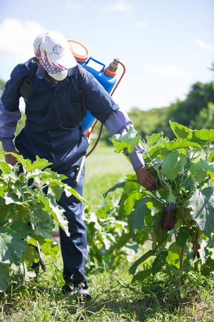 $2B to aid farmers to cushion input costs