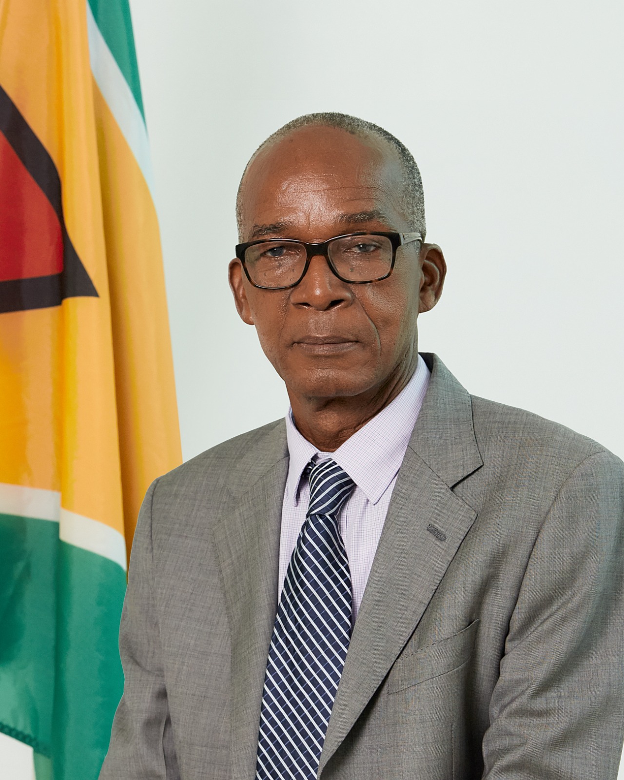 Guyana advancing cause of Afro-Guyanese, says Minister Hamilton   