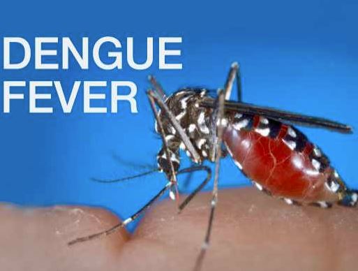 Investigation launched into death of student from dengue-related complications