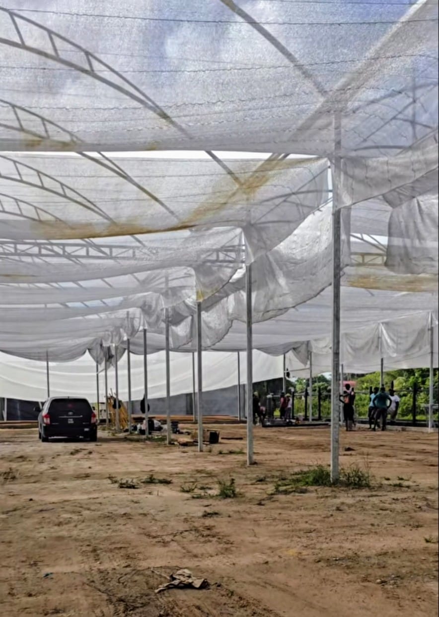 Linden being positioned as hydroponics hub