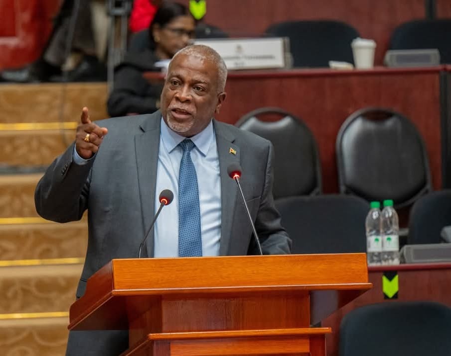 Prime Minister describes Norton’s presentation in House as ’most unpatriotic’
