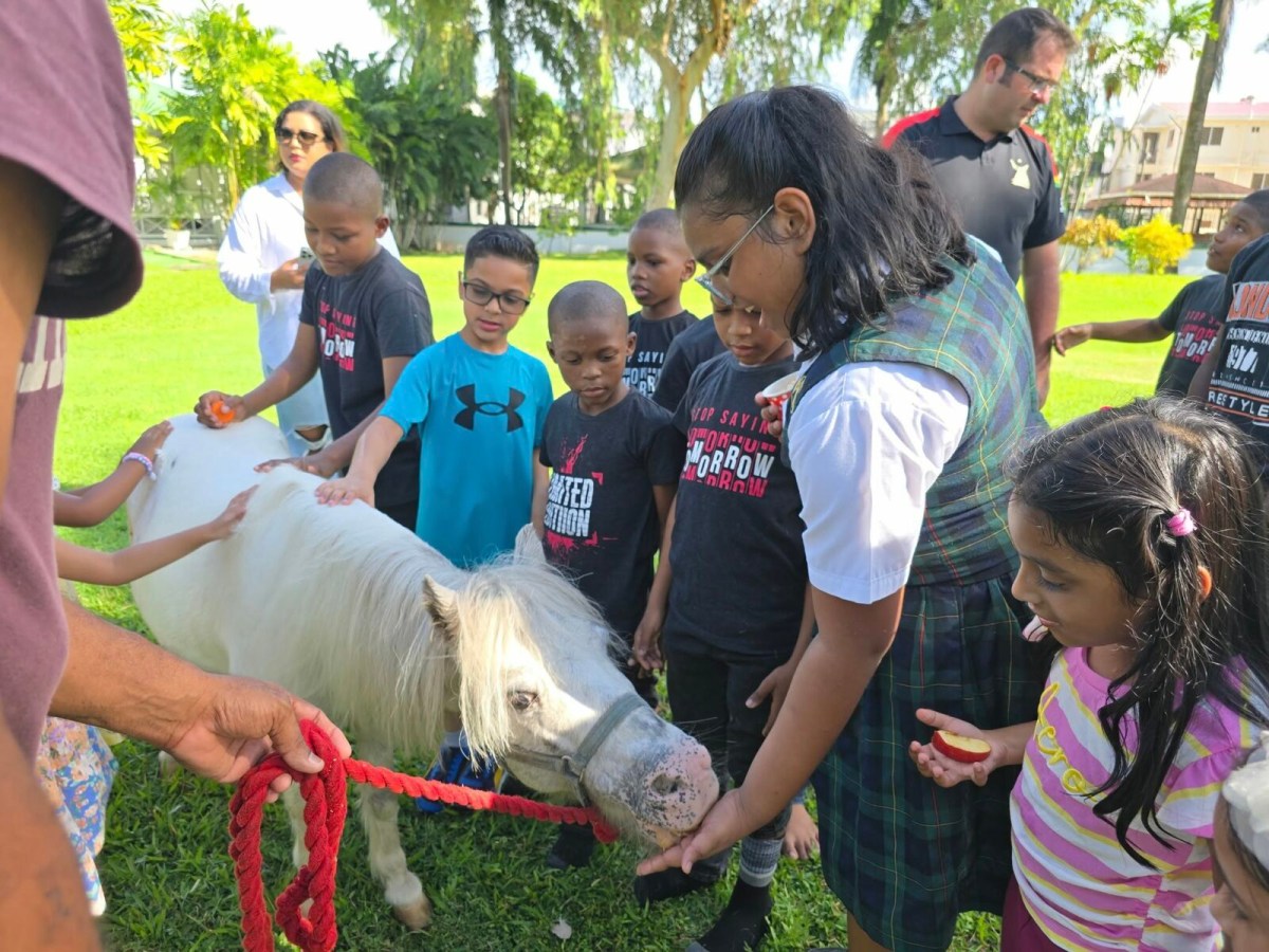 First Son Zayd Ali raises $9 million for animal welfare 