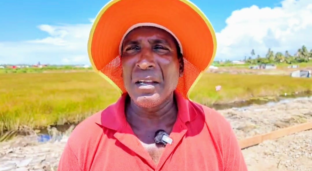 Farmer rebounds from pandemic and floods with State support