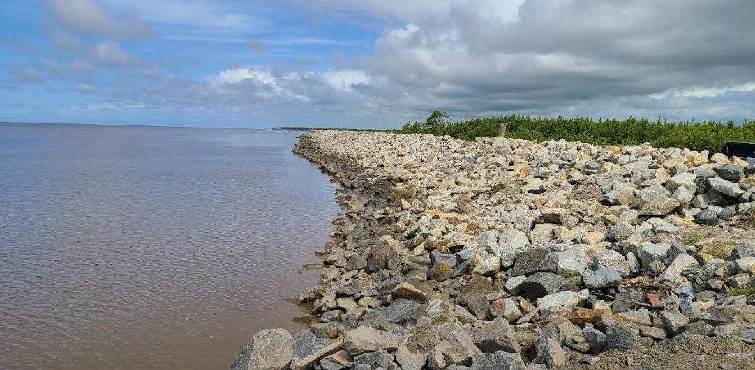 Dutch firm to design mangrove-based coastal defense project