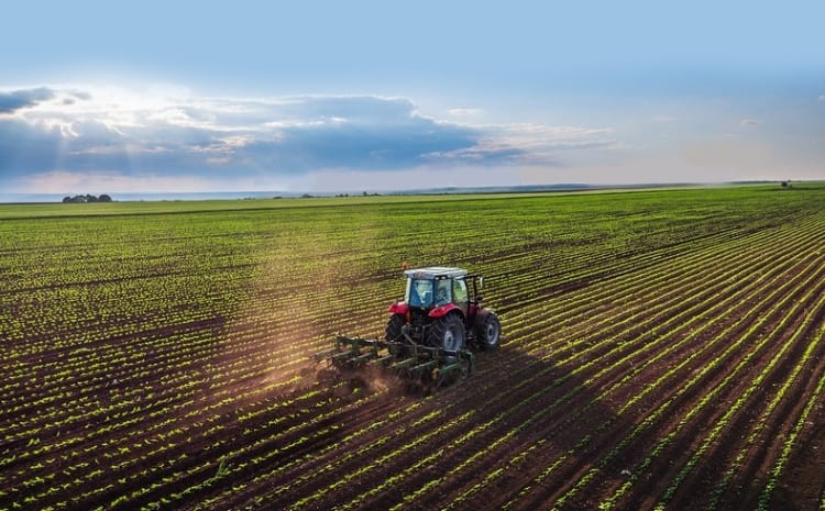 100,000 acres of agricultural land to be unlocked in Berbice