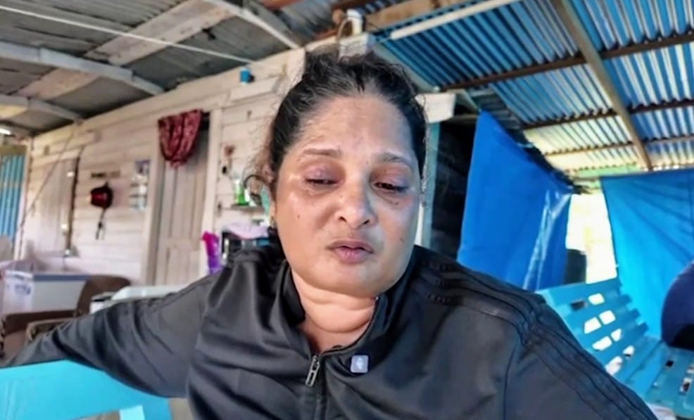 Widow appeals for removal of stray animals from roads