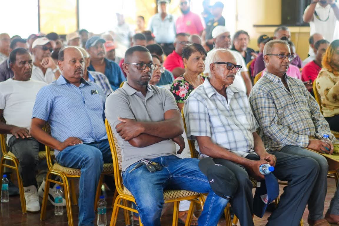 Rice farmers urged to embrace agro-business diversification