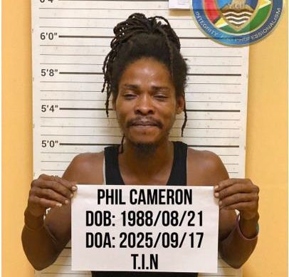 Soesdyke man jailed for four years on drug trafficking charge, co-accused walks free