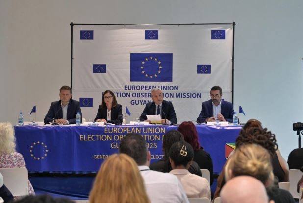 EU observers say polls peaceful, fundamental freedoms respected but flag areas for reform