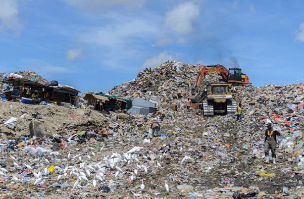 Haags Bosch to get upgrades as garbage load triples