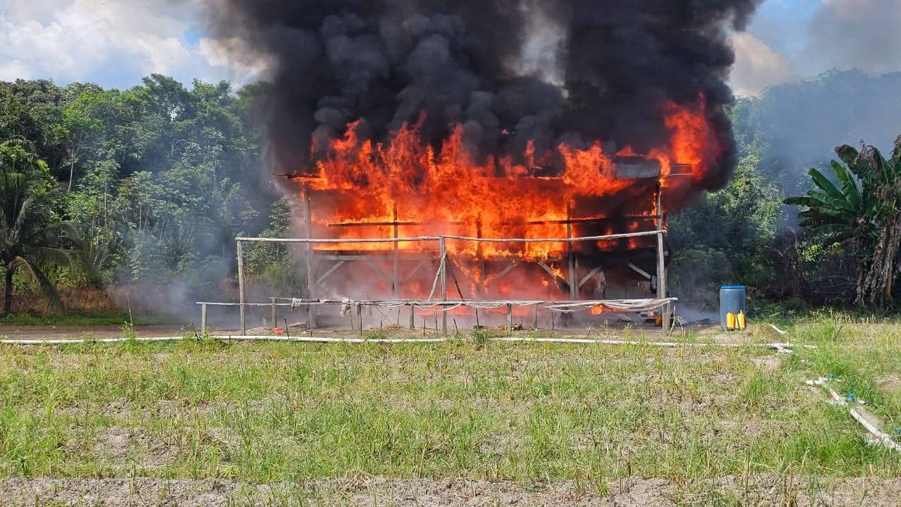 More than $1B worth of cannabis destroyed in Joint Police Operation