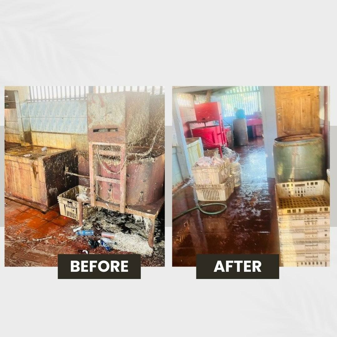Significant improvements at poultry processing facility following clean-up order