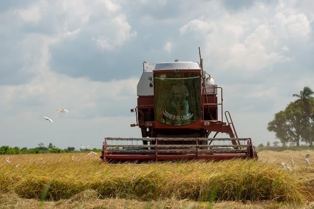 Strategic investments, farmer support drive record gains in agriculture sector