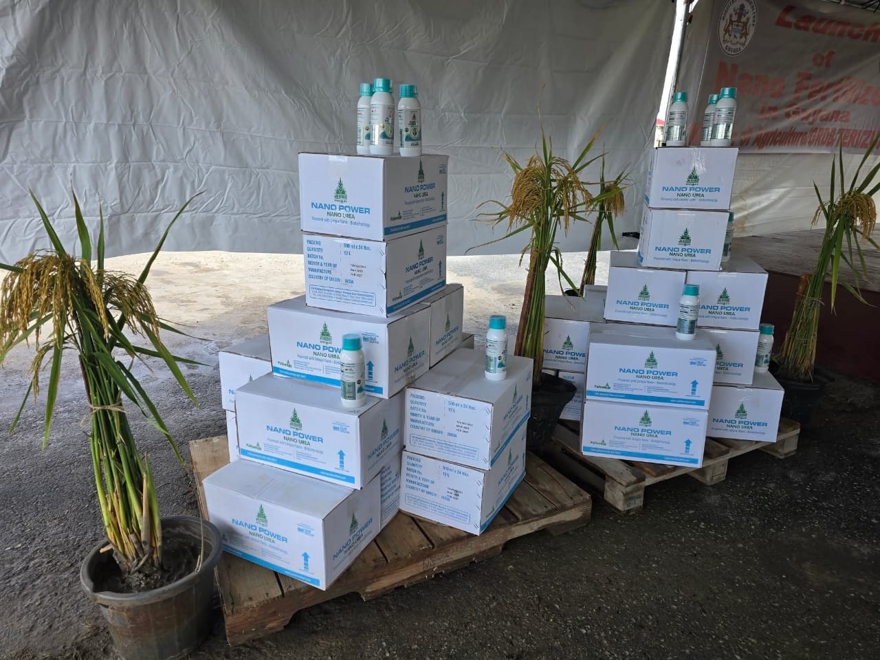 Guyana’s first nano-fertiliser hailed as ’game changer’ for agriculture sector
