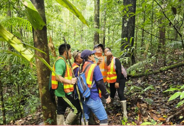 Iwokrama Centre wins FAO award for sustainable forest management