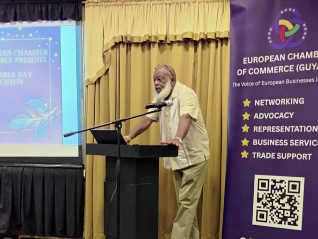 Rising economy needs every skillset, says European Chamber keynote speaker