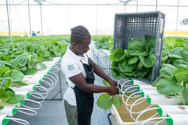 Fresh produce exports from interior to CARICOM to begin next year
