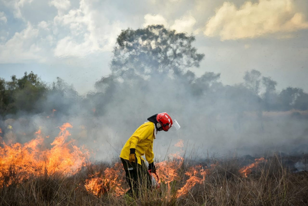 Guyana joins 14 countries to advance integrated fire management