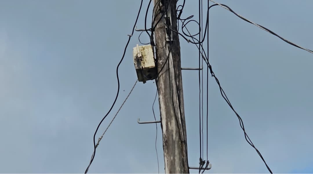 West Berbice residents fear serious harm as Africanized Bees overtake rotting utility pole