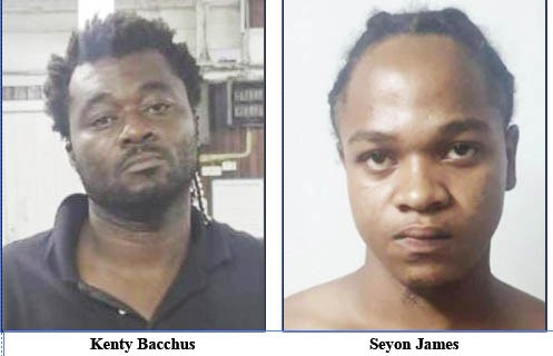James, Bacchus admit to killing taxi driver, to know fate soon