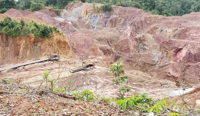 54 brought before courts for illegal mining