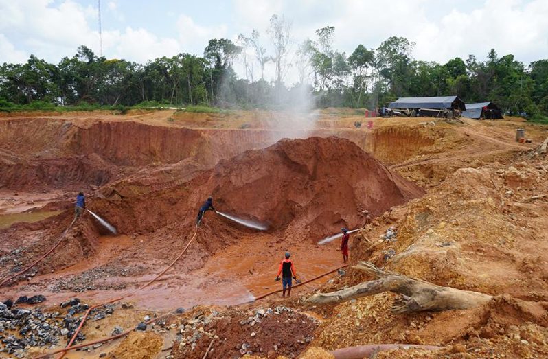 Nine more arrested for illegal mining as crackdown continues