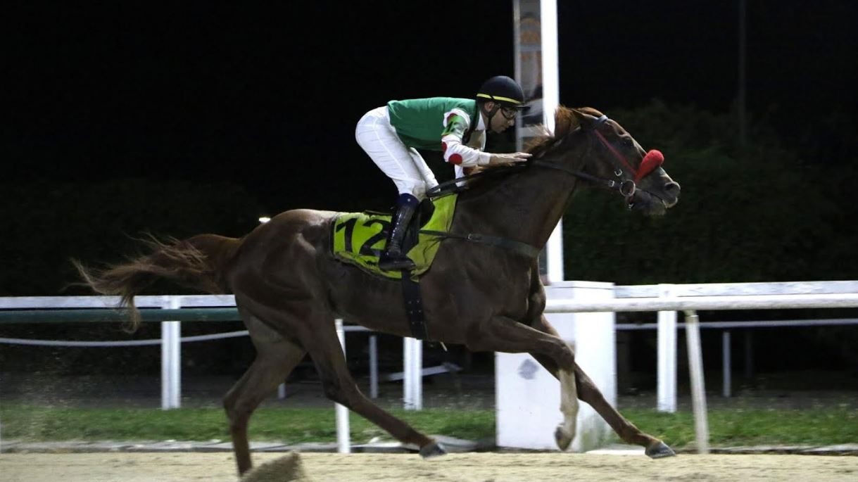 Slingerz delivers strong performance in Brazil