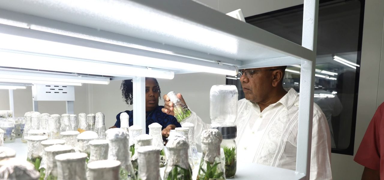 $450M NAREI lab to revolutionise agriculture with disease-free plantlets