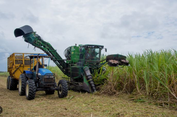 GuySuCo to become agro-industrial hub