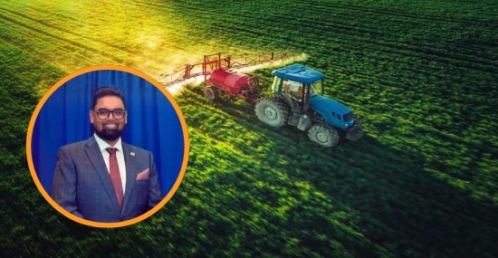 President rejects claims of ‘artificial’ growth