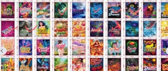 CANU cautions public over drug-related packaging sold online