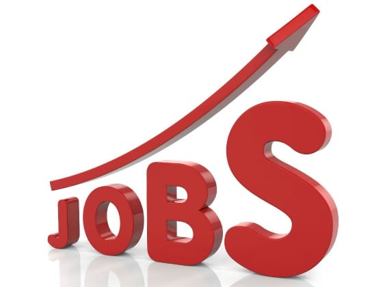 Growth in jobs and earnings, says President