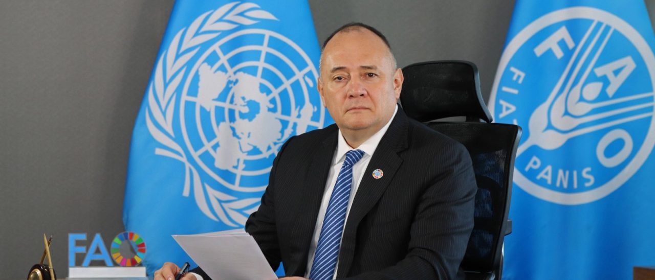 Latin America and the Caribbean advances in the fight to eradicate hunger