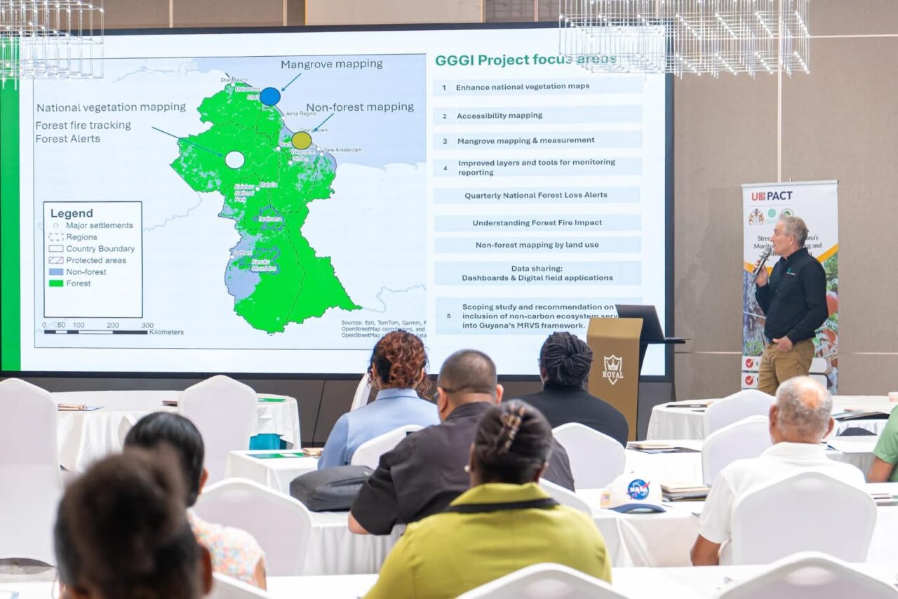 Real-time mapping tools to improve forest monitoring