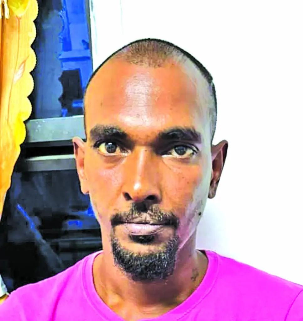 Construction worker freed of gun and ganja charges