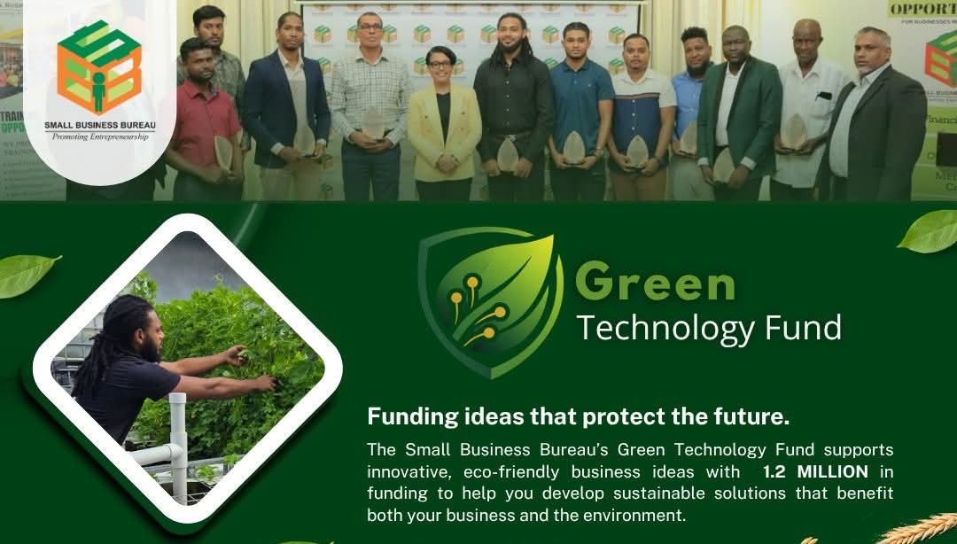 Small Business Bureau offers up to $1.2M grants for eco-friendly innovations