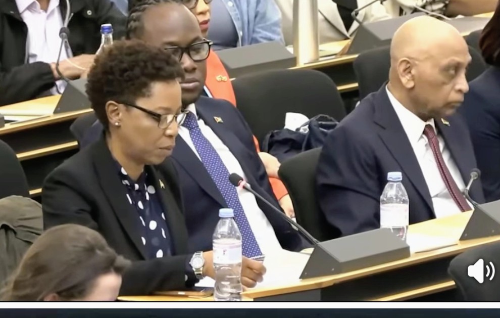 Guyana reaffirms support for dignity, equity and opportunity for people of African descent