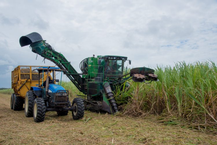 Mechanised harvesting at the Blairmont Estate