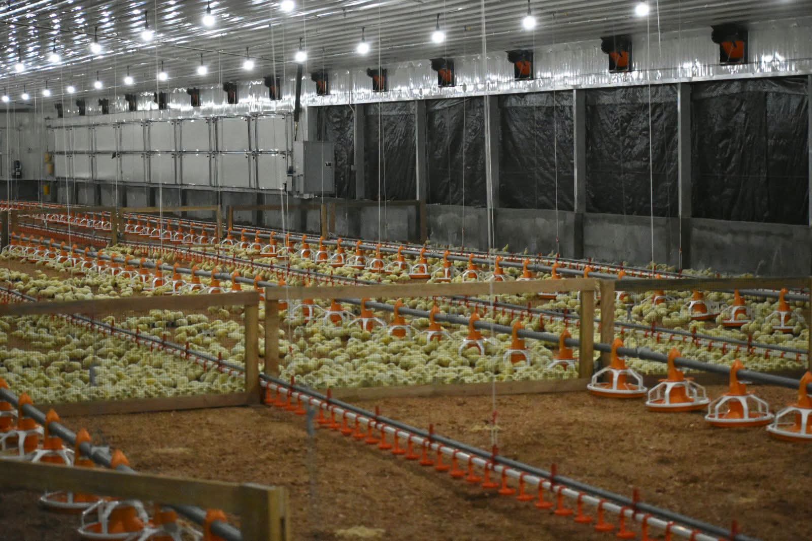 The tunnel commissioned on Wednesday